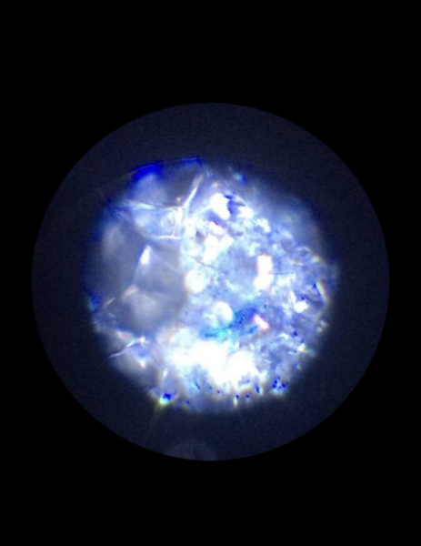 19ef10d3