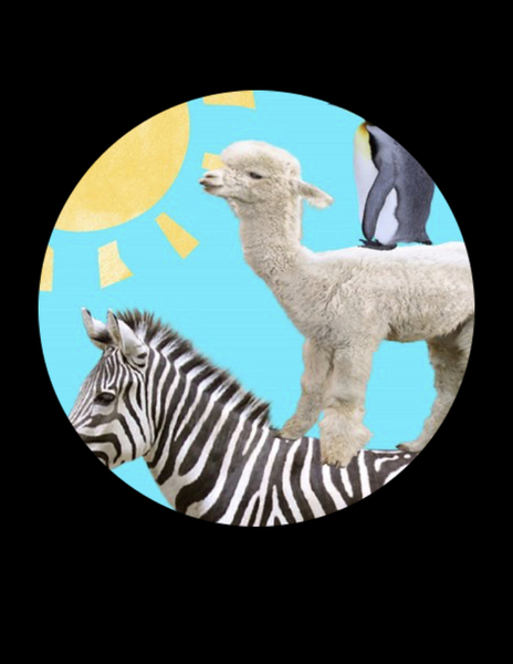 Aa4b6984