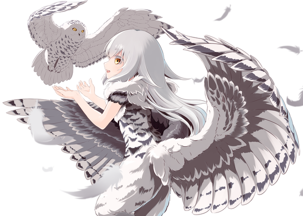 A43a31f5