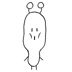 29c3c5f1