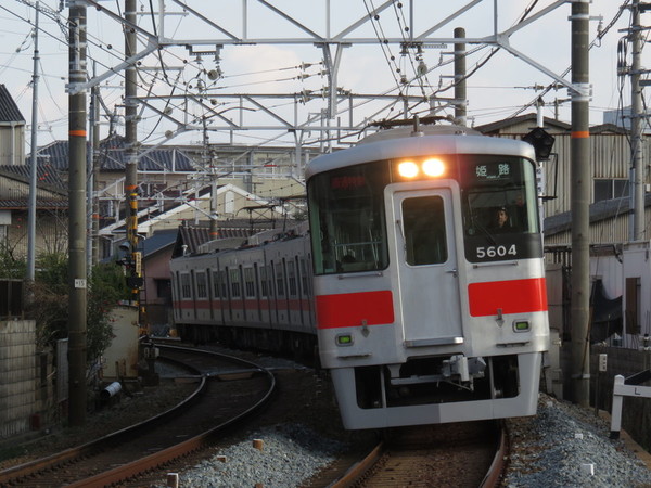 20377713