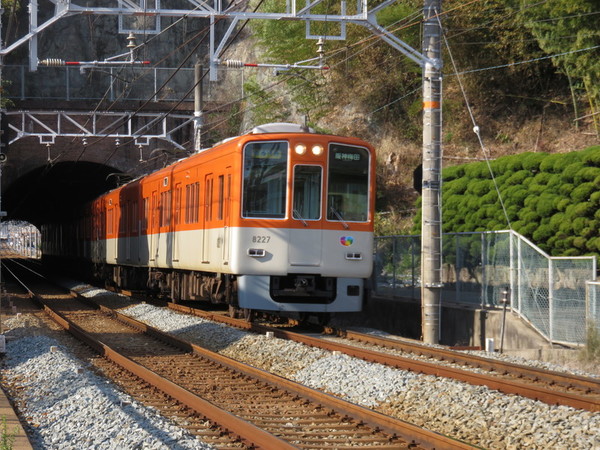 9d8ce91f