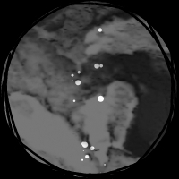 C29b6651