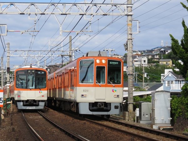 81225435