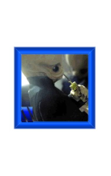 0c72e82b