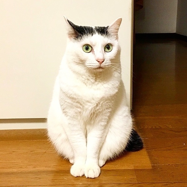 749d37b7