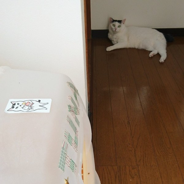 86f28848