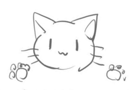 54556243