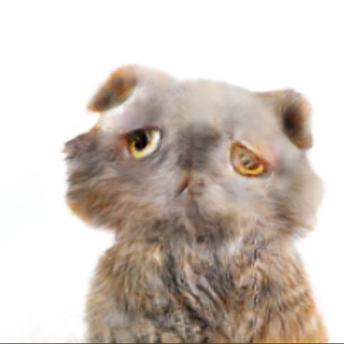 53990190